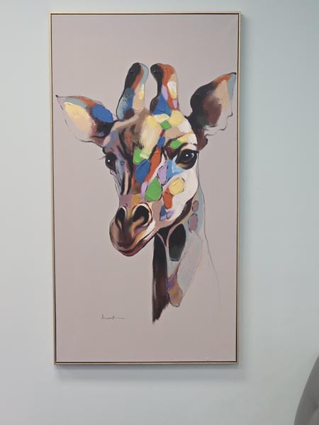 Casey Dental | Fillings, Tooth Extractions and Dental Sealants