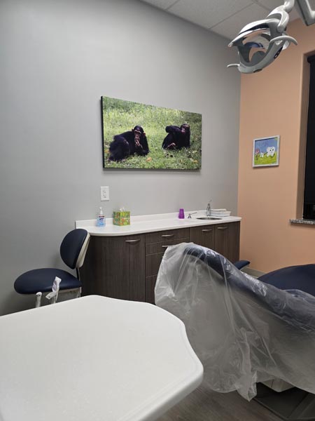 Casey Dental | Restorative Dentistry, Tooth Extractions and Pediatric Dentistry